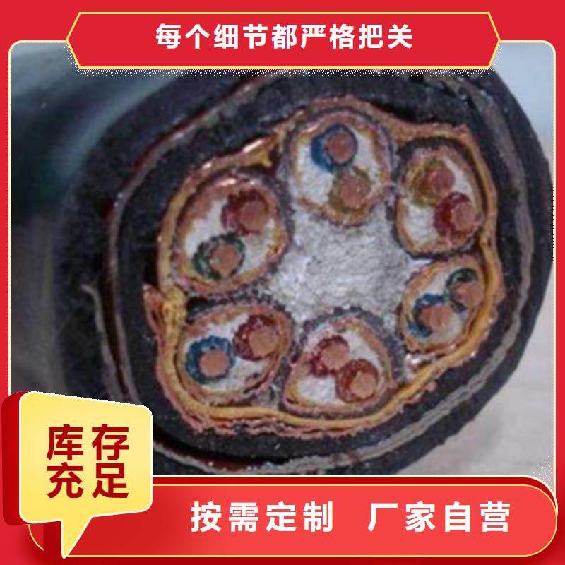 WDZ-DJYJP3VP3R低烟无卤计算机电缆现货供应