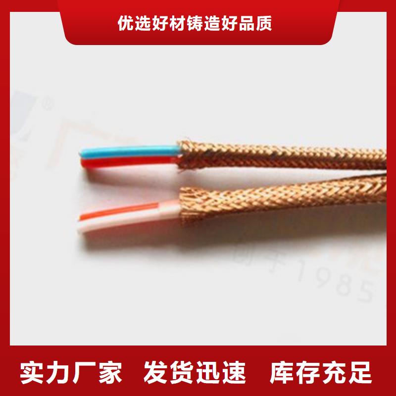 耐火计算机电缆NH-DJYJP2VR1X2X2.5