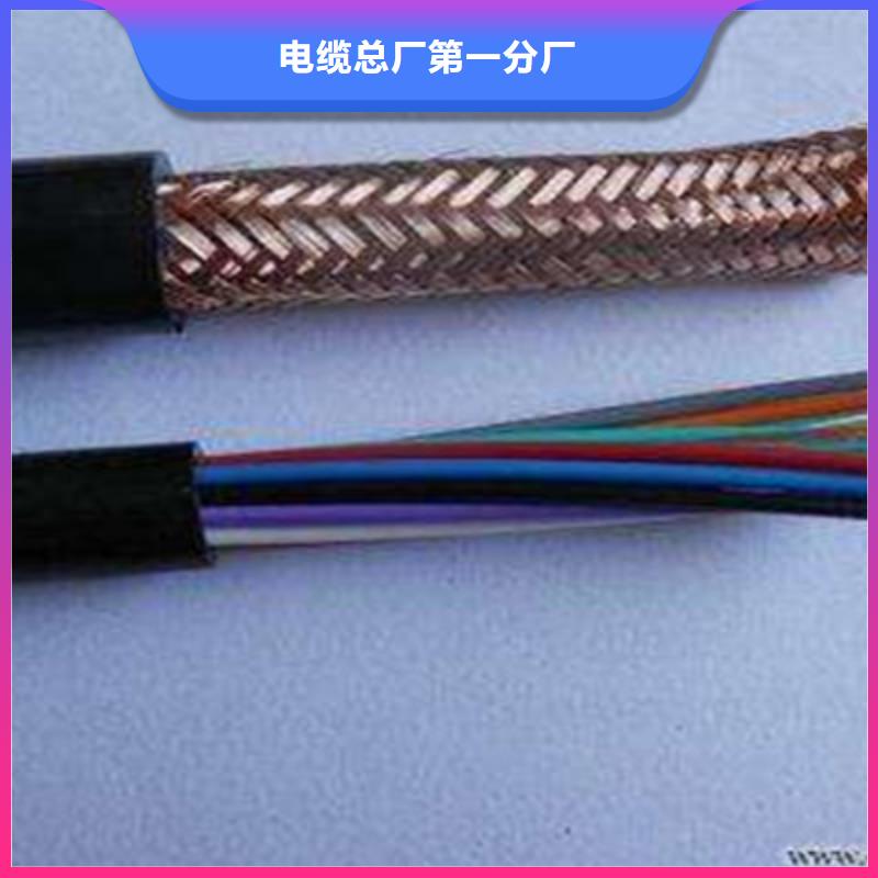 阻燃计算机电缆ZR-DJYJP2VR4X2X1.0
