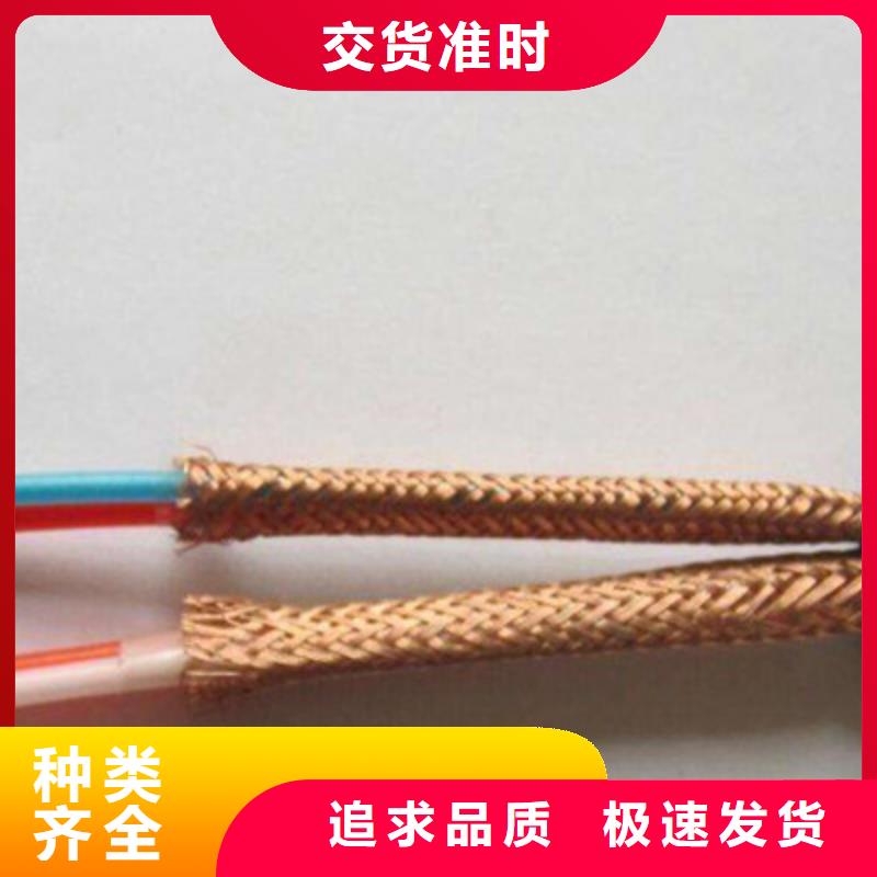 计算机屏蔽电缆DJYJP3VP35X2X0.75