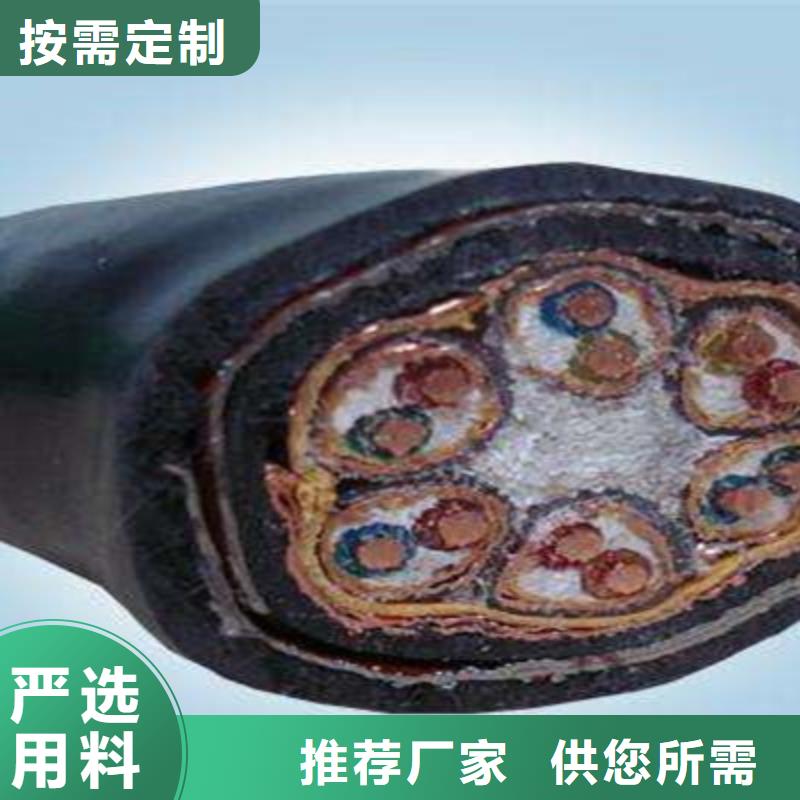 规格齐全的DJYJVPR铠装计算机电缆厂家