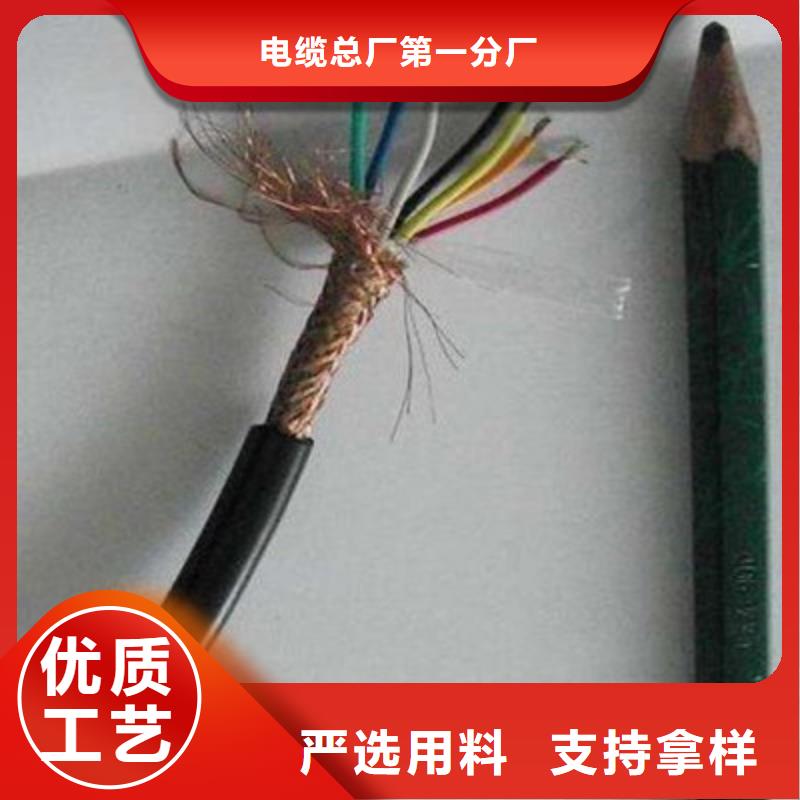 计算机屏蔽电缆DJYJVP2-22总代直销