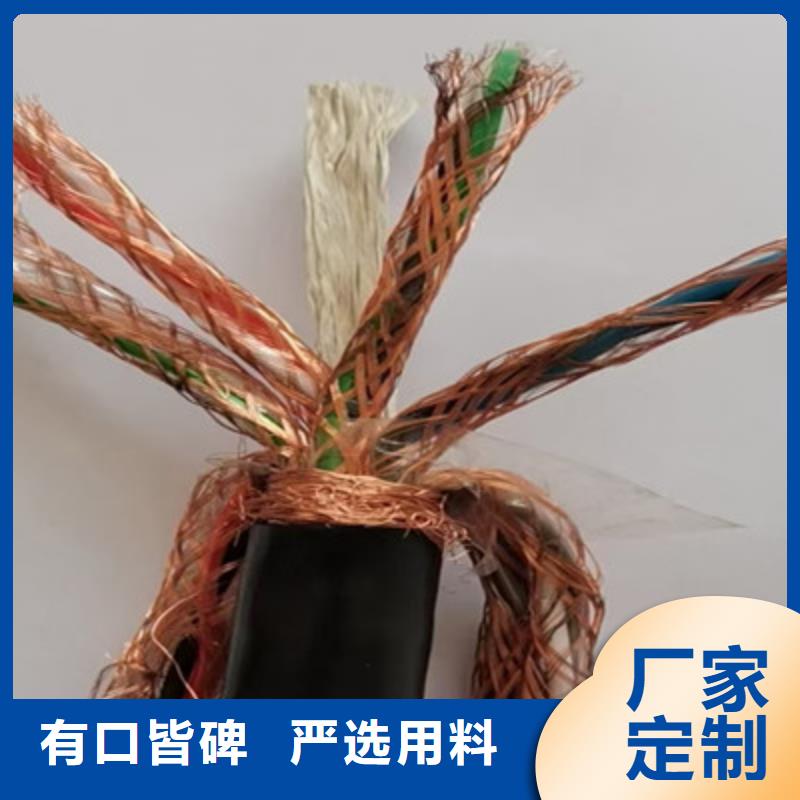 计算机屏蔽电缆DJYJP3VP35X2X0.75