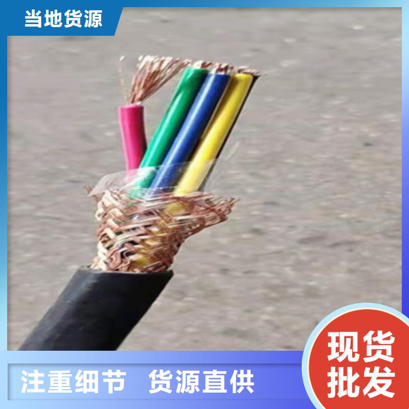 耐火计算机电缆NH-DJYP3VP36X2X1.0