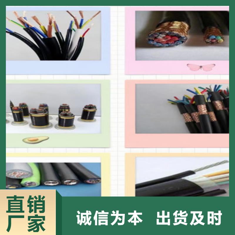计算机屏蔽电缆DJVP2VP2-22了解更多