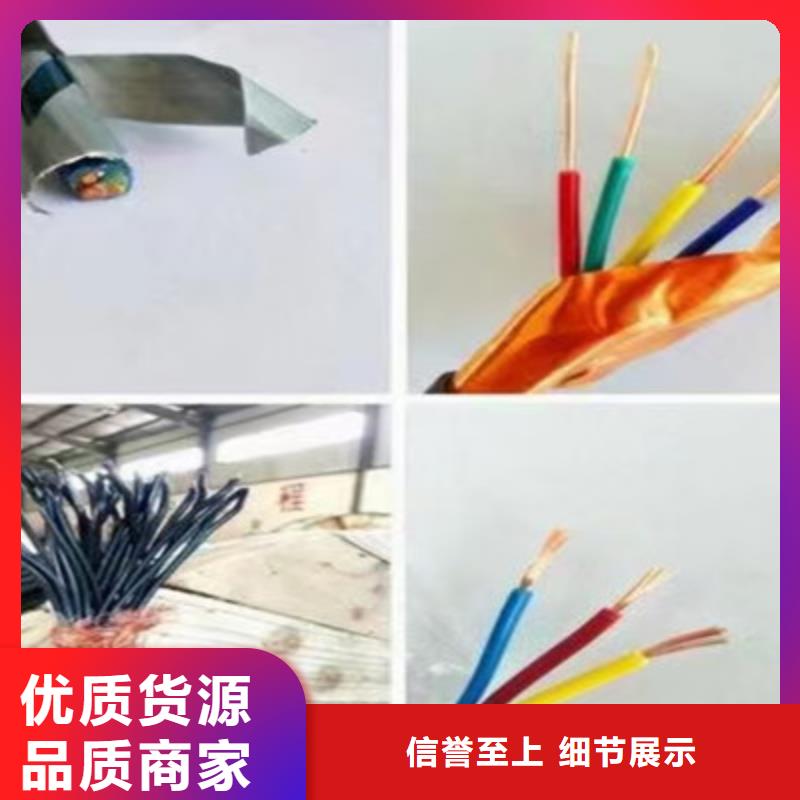 阻燃计算机电缆ZR-DJYJVP1X2X0.75