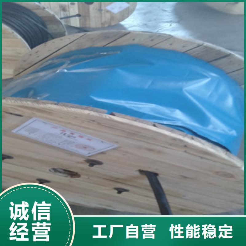 阻燃计算机电缆ZR-DJYPV22设计