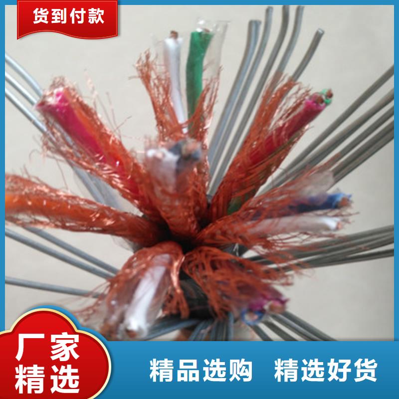 阻燃计算机电缆ZR-DJYJVP1X2X0.75