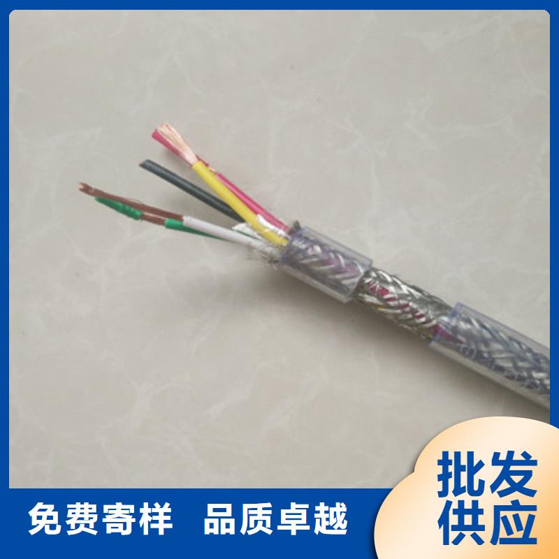 铠装计算机电缆DJVP2VP2-223X2.5