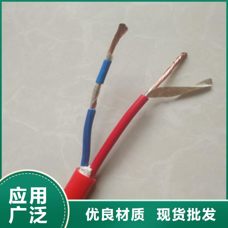 铠装计算机电缆JYPV-ZB6X2X2.5