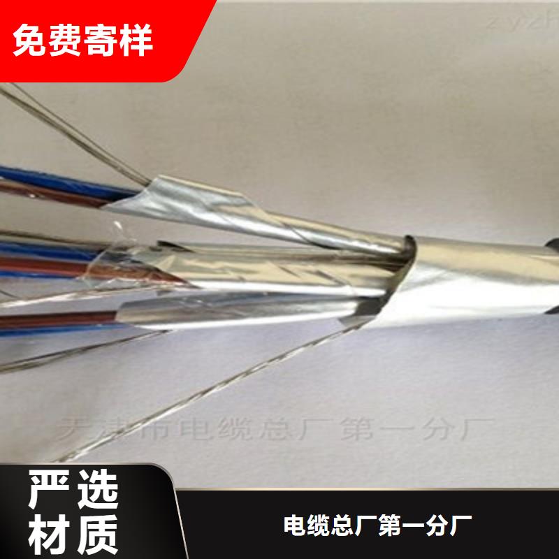 低烟无卤计算机电缆WDZ-DJVP1V-TR的厂家-天津市电缆总厂分厂