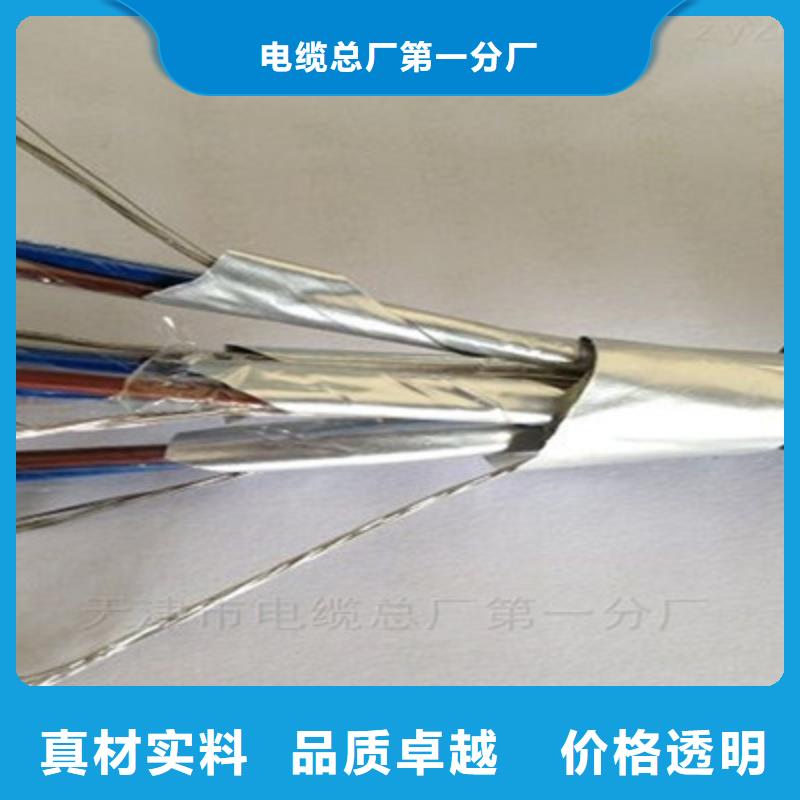 N-DJYJP1VRP132耐火电缆4X2X0.75