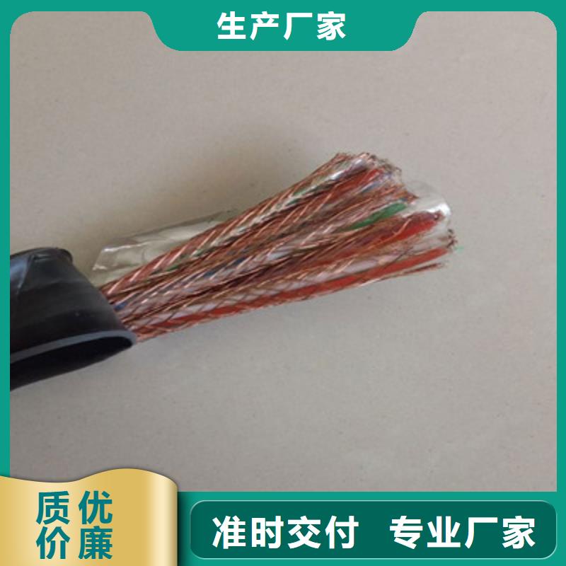 DJVP3VP3-22计算机屏蔽电缆4X2X1.0