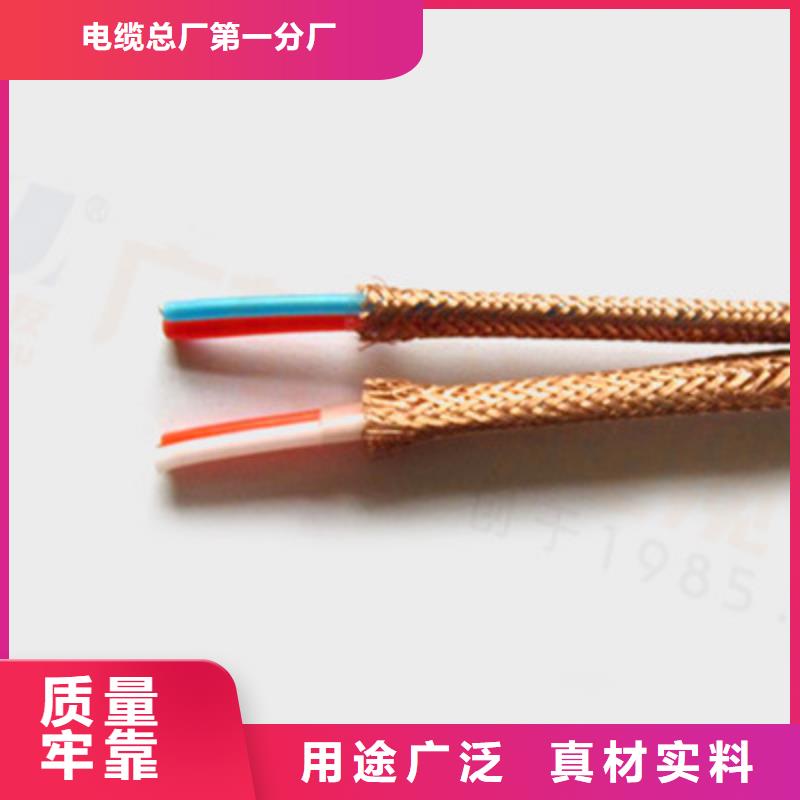计算机屏蔽电缆JYPV-ZB市场价