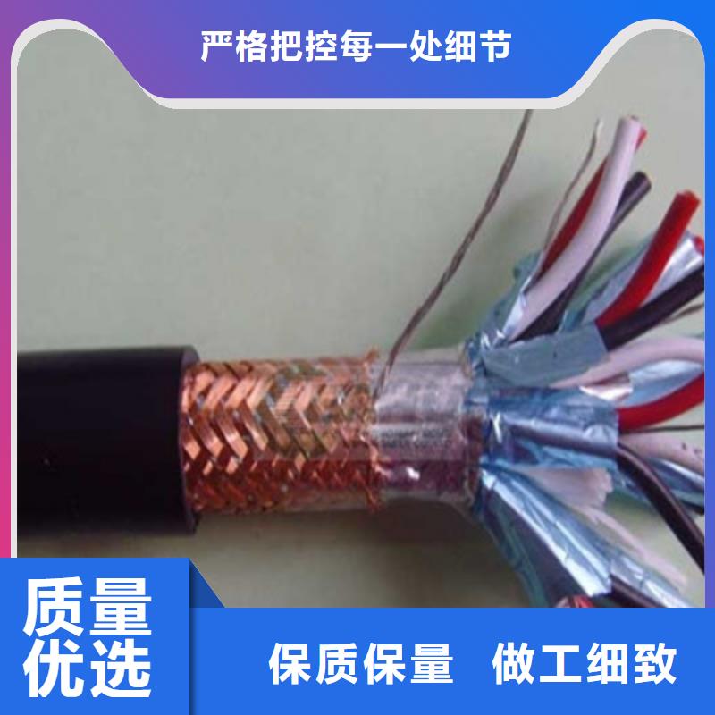 铠装计算机电缆DJYJP3V223X1.0