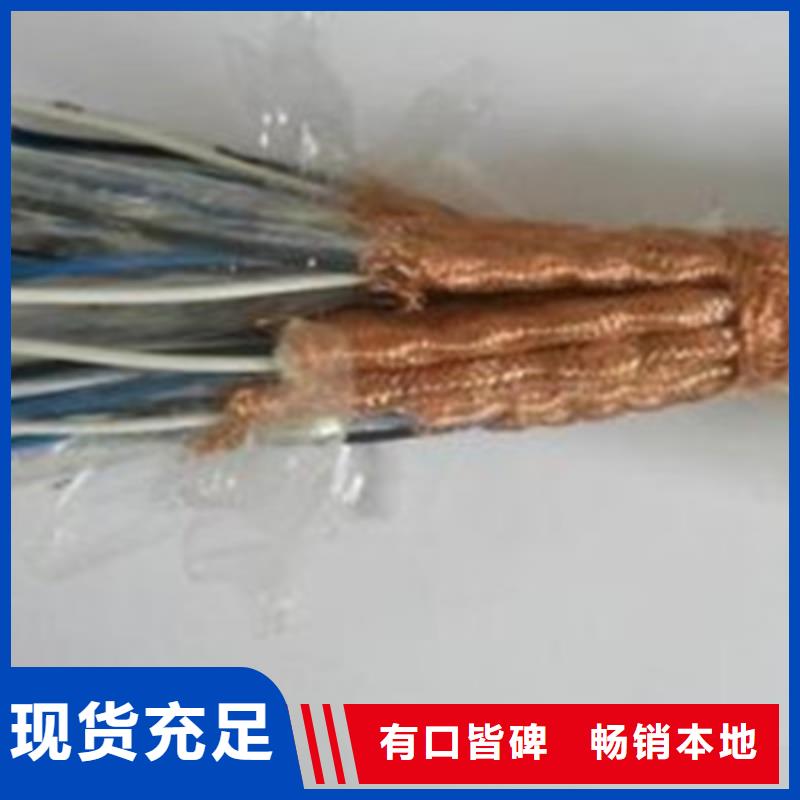 耐火计算机电缆NH-DJYVP32X2X2.5