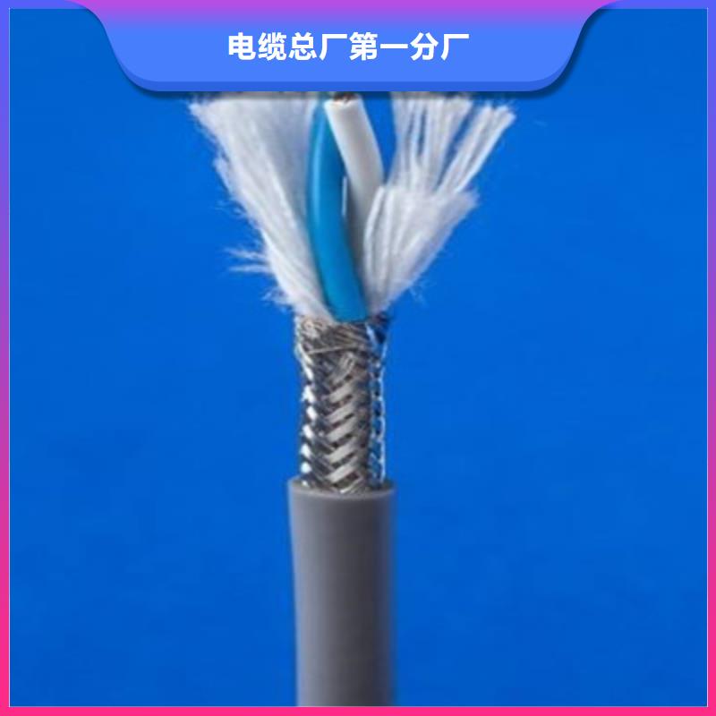 铠装计算机电缆DJYJP3V223X1.0