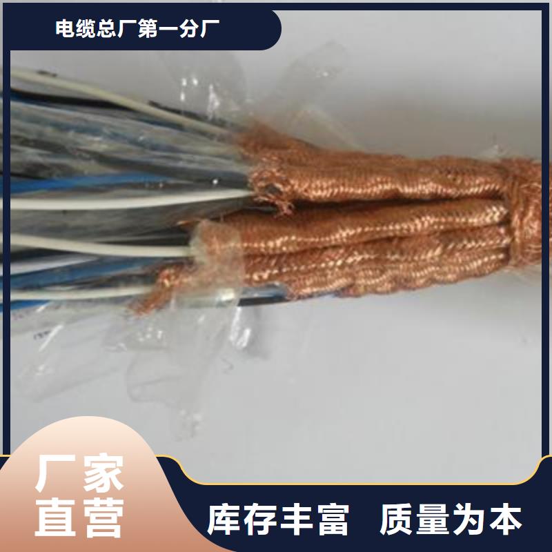 耐火计算机电缆NH-DJYP3VP36X2X1.0