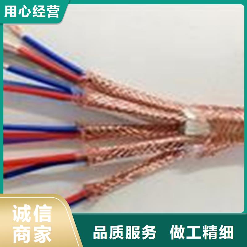铠装计算机电缆DJVP2VP2-223X2.5