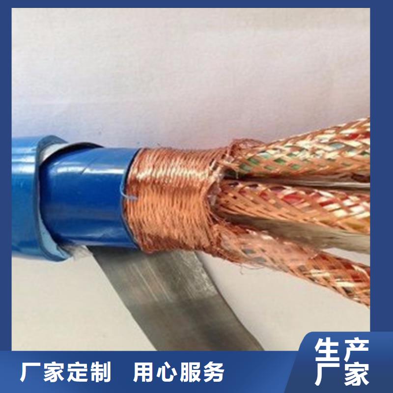 N-DJYJP1VRP132耐火电缆4X2X0.75