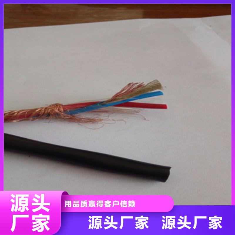 计算机屏蔽电缆DJYJP3VP35X2X0.75