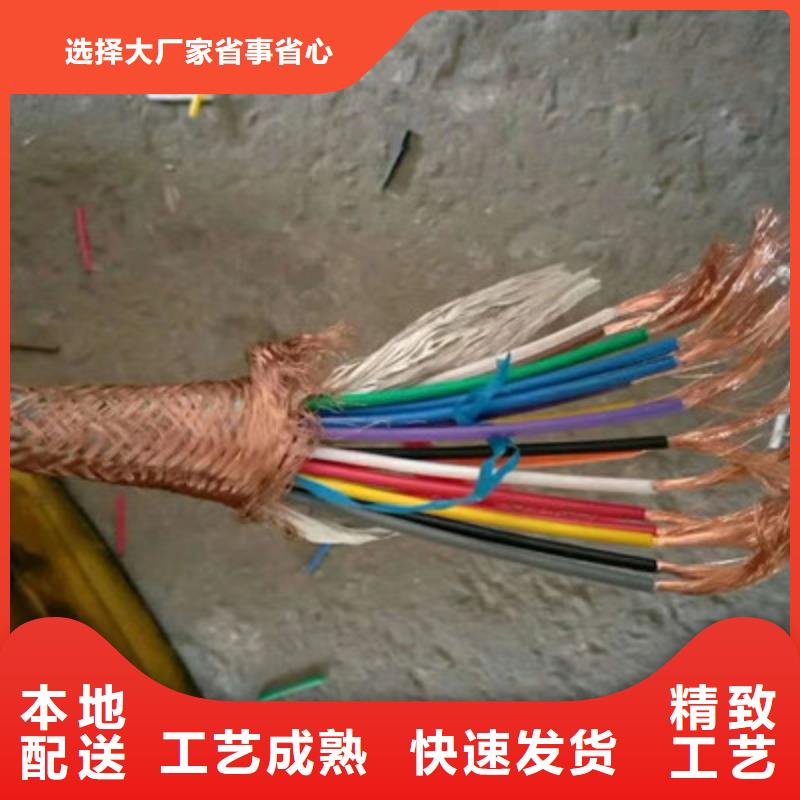 铠装计算机电缆JYPV-ZB6X2X2.5