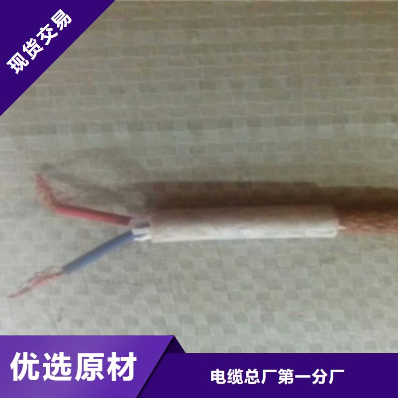 NH-DJYJPVR耐火计算机电缆公司