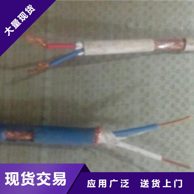 供应IA-RVVPL屏蔽电缆的厂家