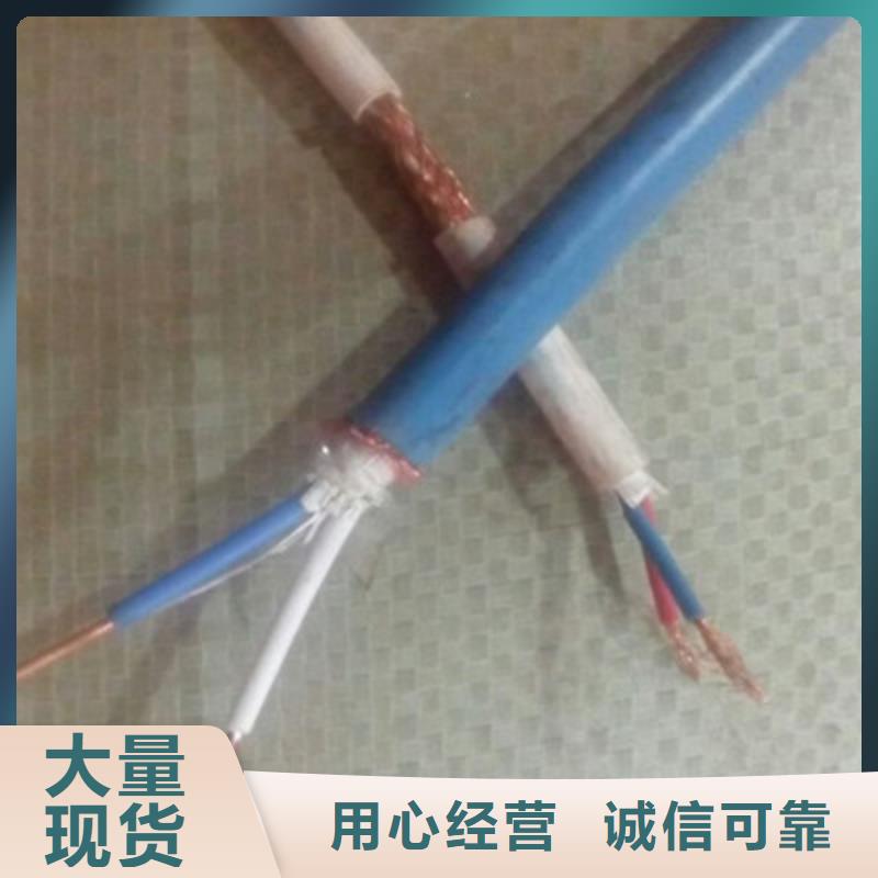 铠装计算机电缆DJVVPR14X2X0.75
