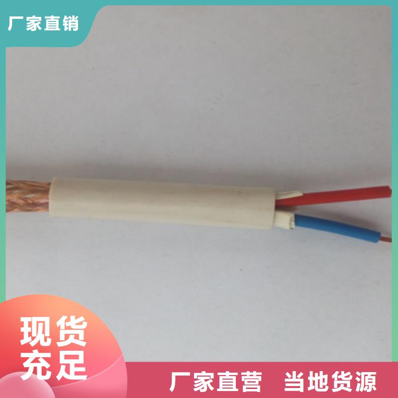阻燃计算机电缆ZR-DJYPV22设计