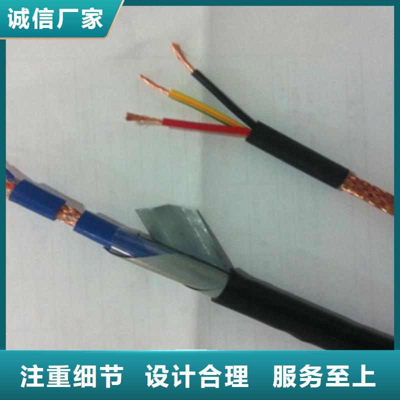 耐火计算机电缆NH-ZRB-DJYP3VDP212X2X0.75