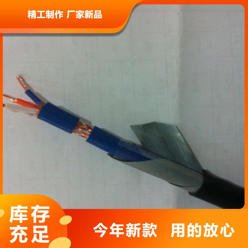 铠装计算机电缆DJVVPR14X2X0.75