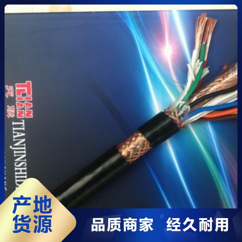 耐火计算机电缆NH-DJYJP2VR1X2X2.5