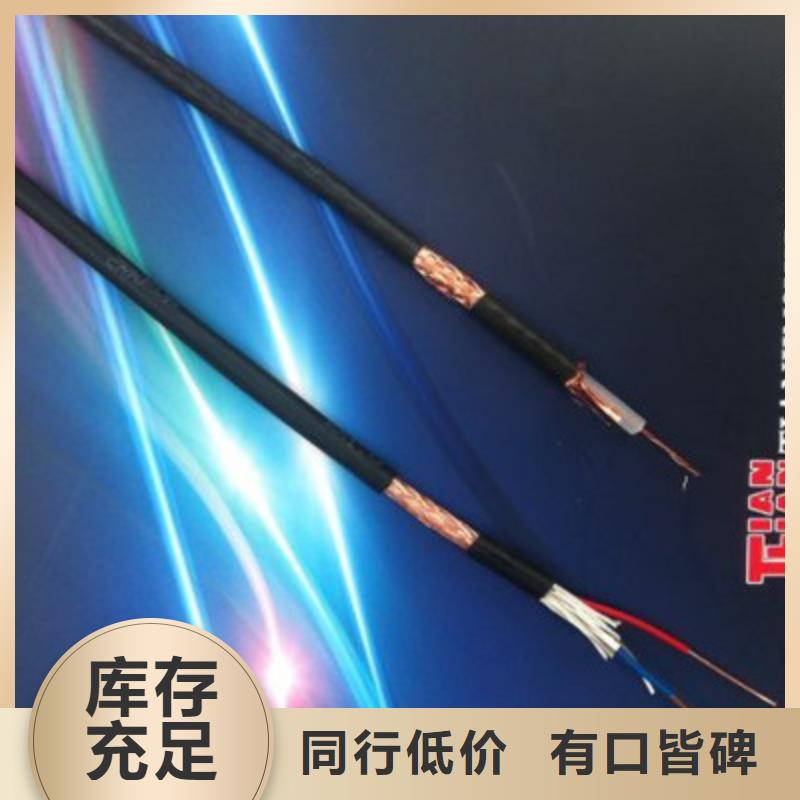 铠装计算机电缆DJYJPVP22质优价廉