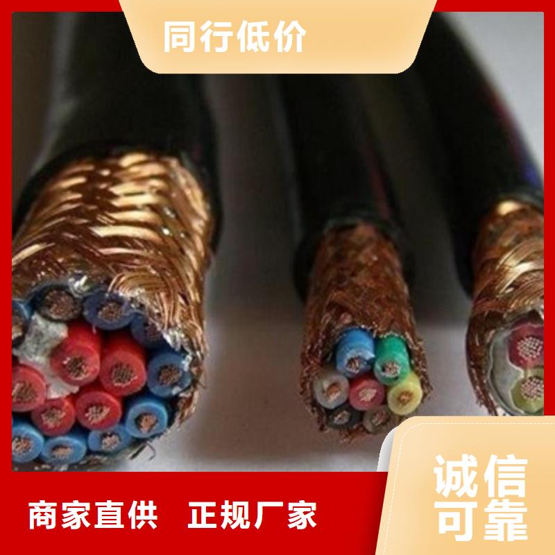 计算机屏蔽电缆DJVP3VR现货现发