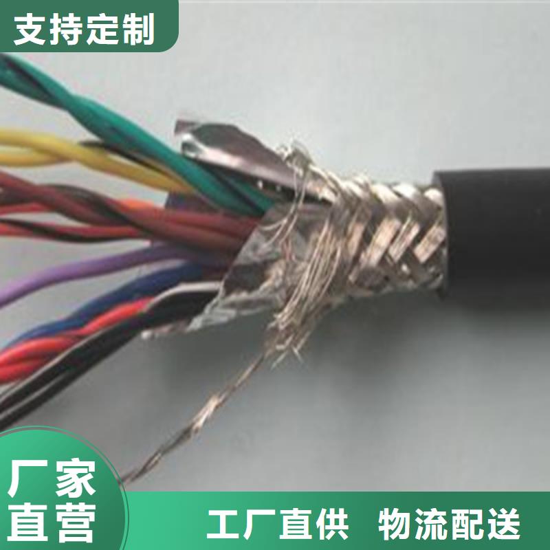 铠装计算机电缆DJYJPVP22质优价廉