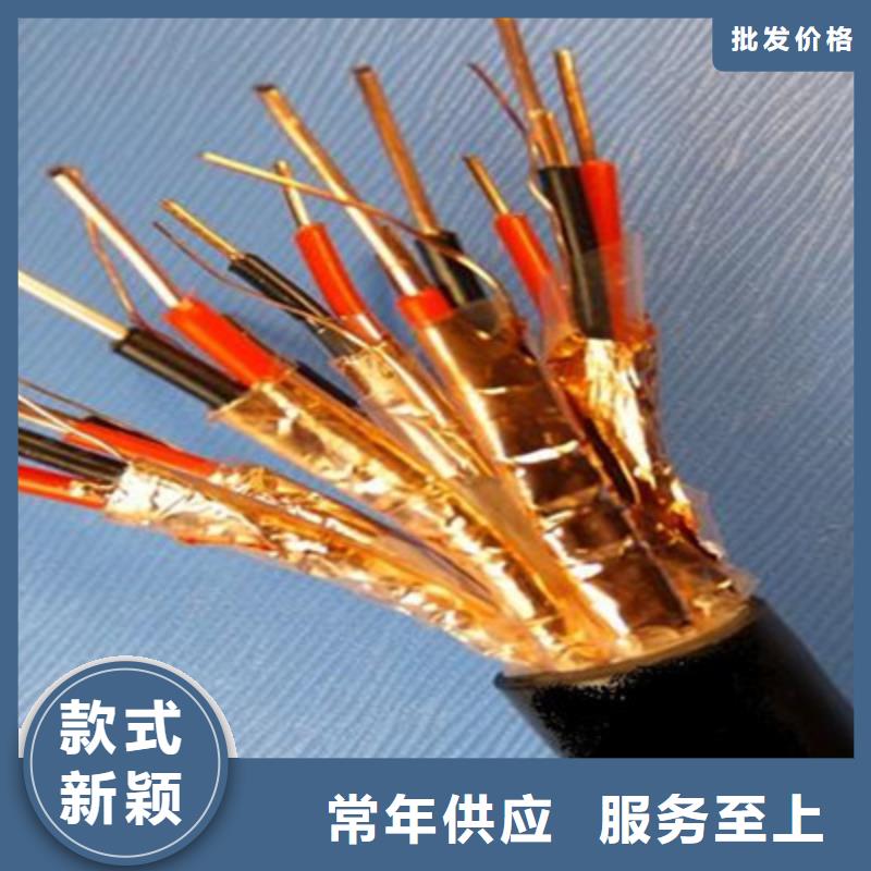 计算机屏蔽电缆DJVP2VP2-224X2X0.75