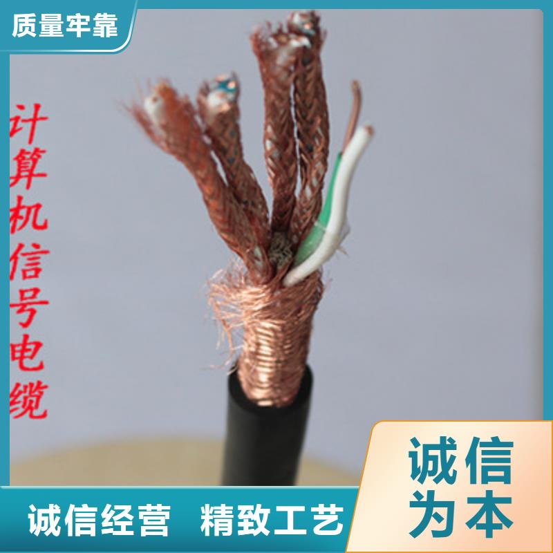 计算机屏蔽电缆DJYJP3VP35X2X0.75