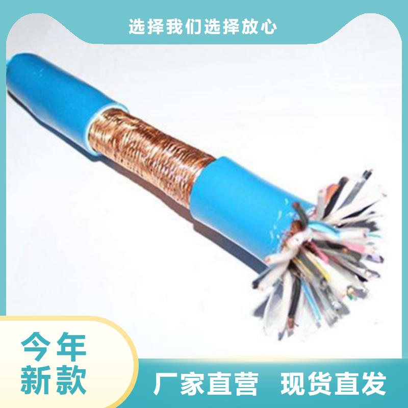 铠装计算机电缆JYPV-ZB6X2X2.5