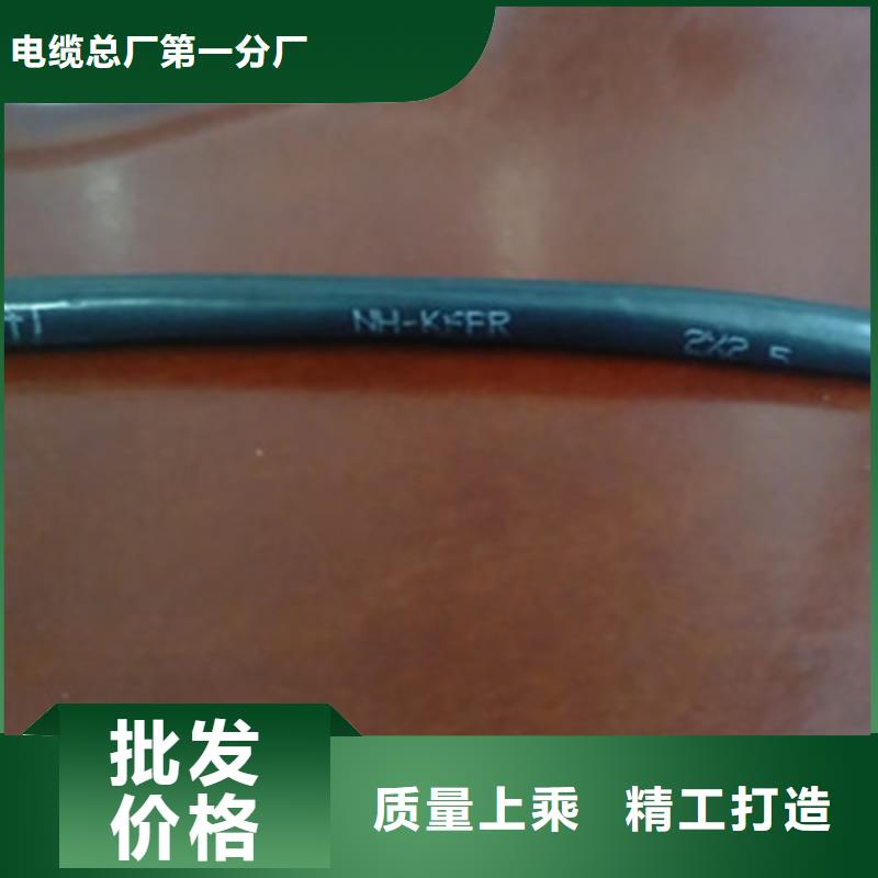 ZR-KYJV阻燃控制电缆-品质保障