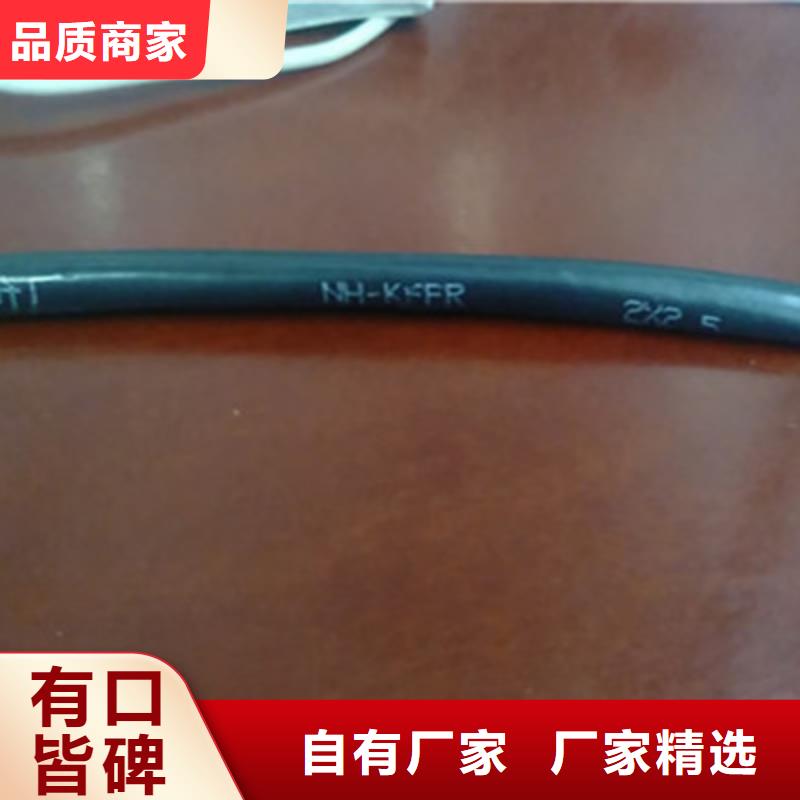 KVVP2-32铠装屏蔽控制电缆3X0.5设计