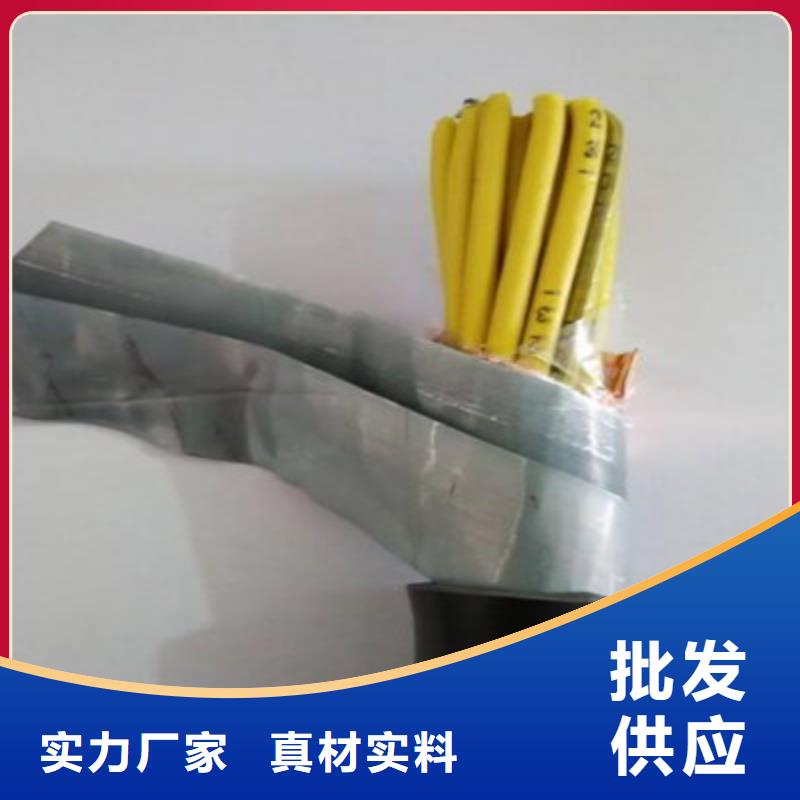 阻燃控制电缆ZRA-KVV323X1.5设计