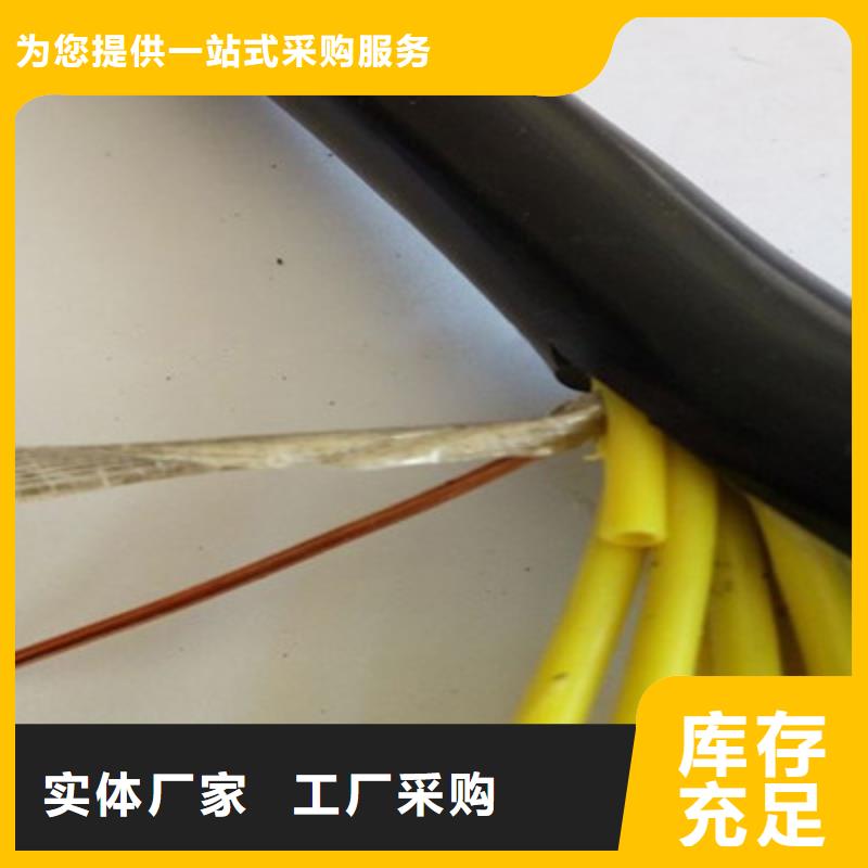 CKJPF85/SC特种控制电缆如何挑选