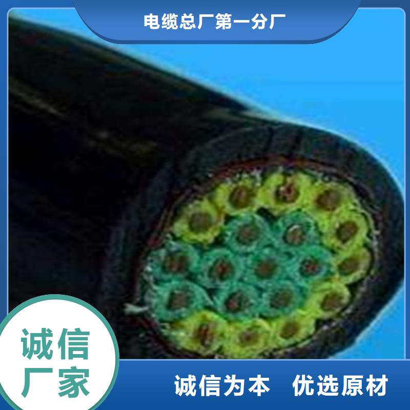 TRVV柔性控制电缆厂家直发