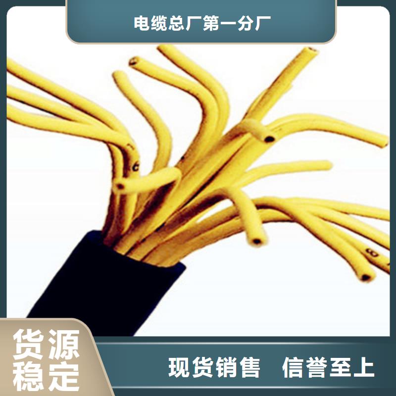 TRVV柔性控制电缆厂家直发