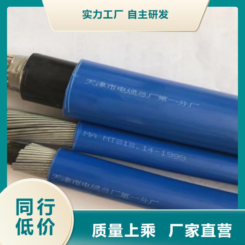 矿用屏蔽通信电缆MHYBV600X2X0.5