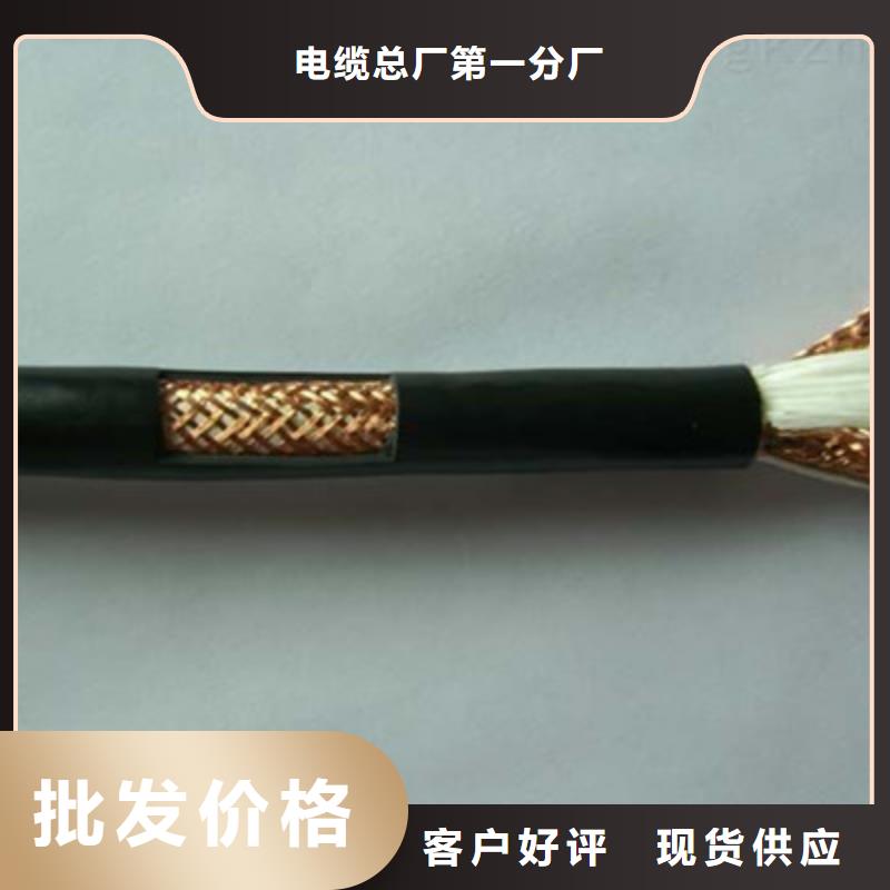 耐高温计算机电缆DJFPF来样定制