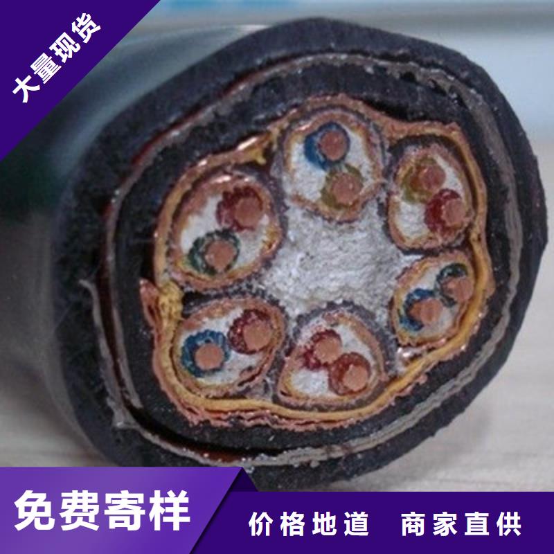 耐高温DJFFP2计算机线缆实力老厂