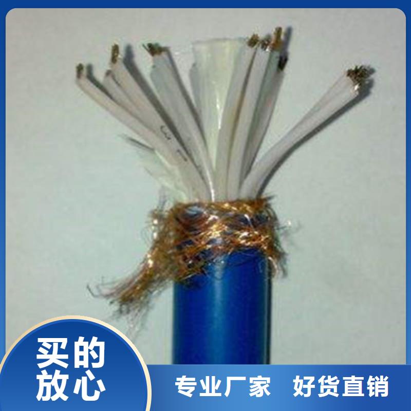 耐高温控制电缆KFP1F-200承诺守信