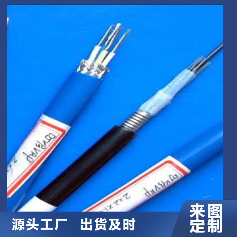 ZR192-KFVP耐高温屏蔽线缆30X2.5